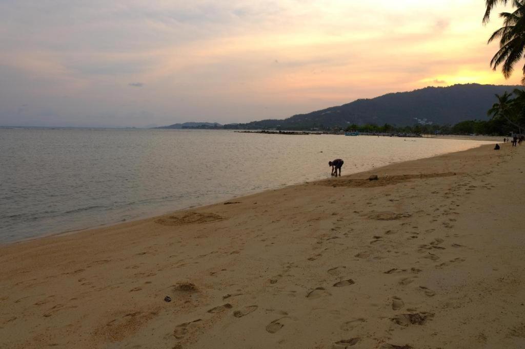 Rose Garden Samui Bungalows 라마이비치 외부 사진